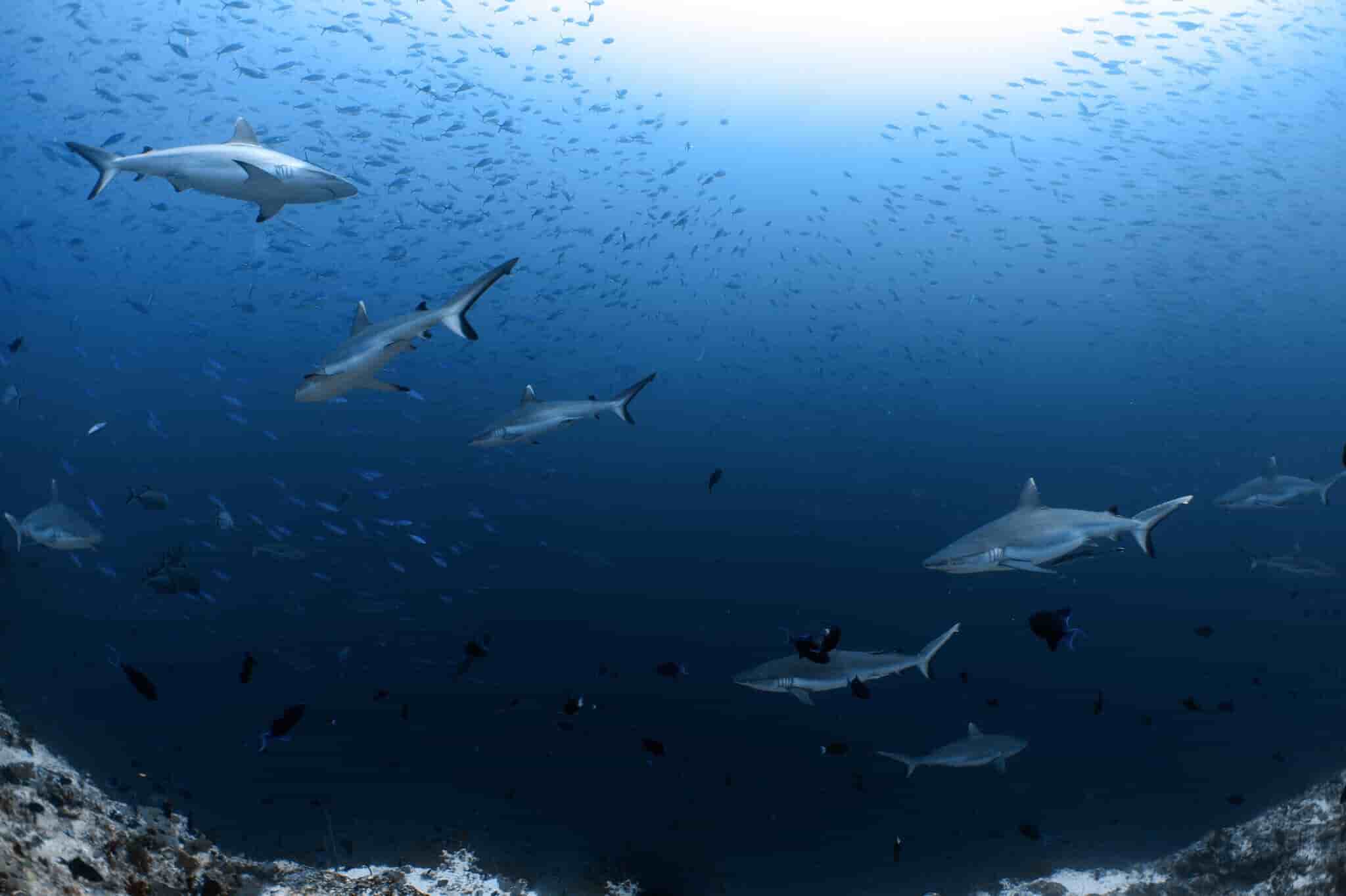 Thumbnail 4 Thumbnail 4