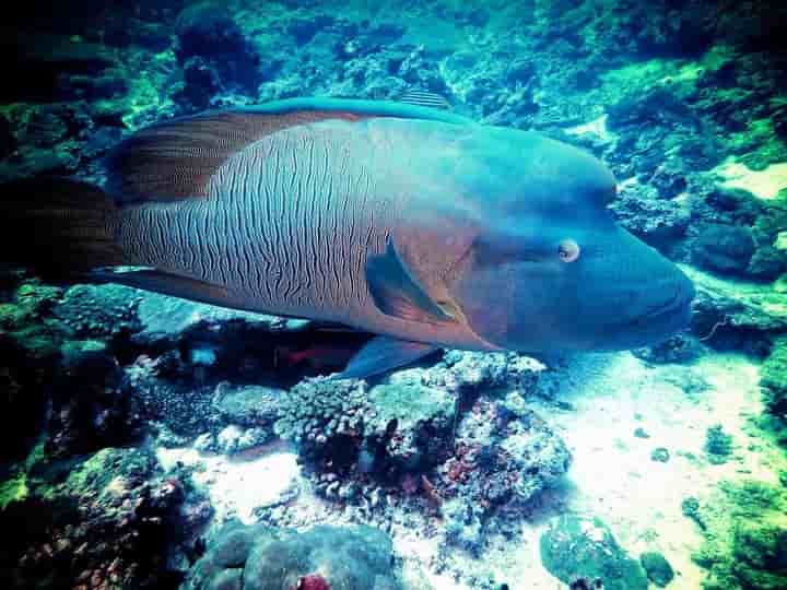 Thumbnail 8 Thumbnail 8