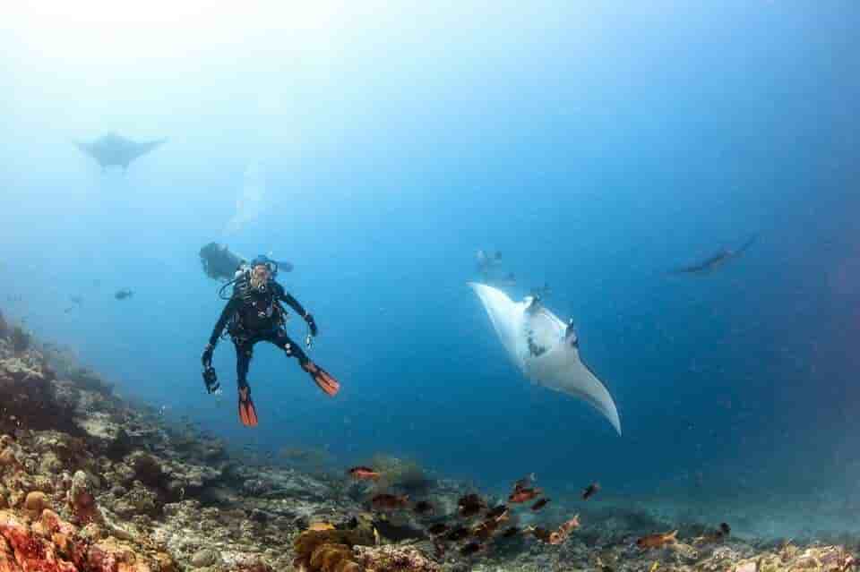 Thumbnail 10 Thumbnail 10