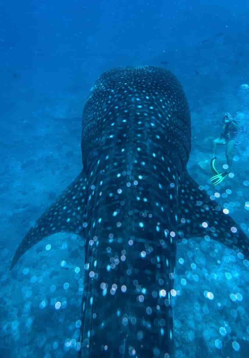 Thumbnail 14 Thumbnail 14