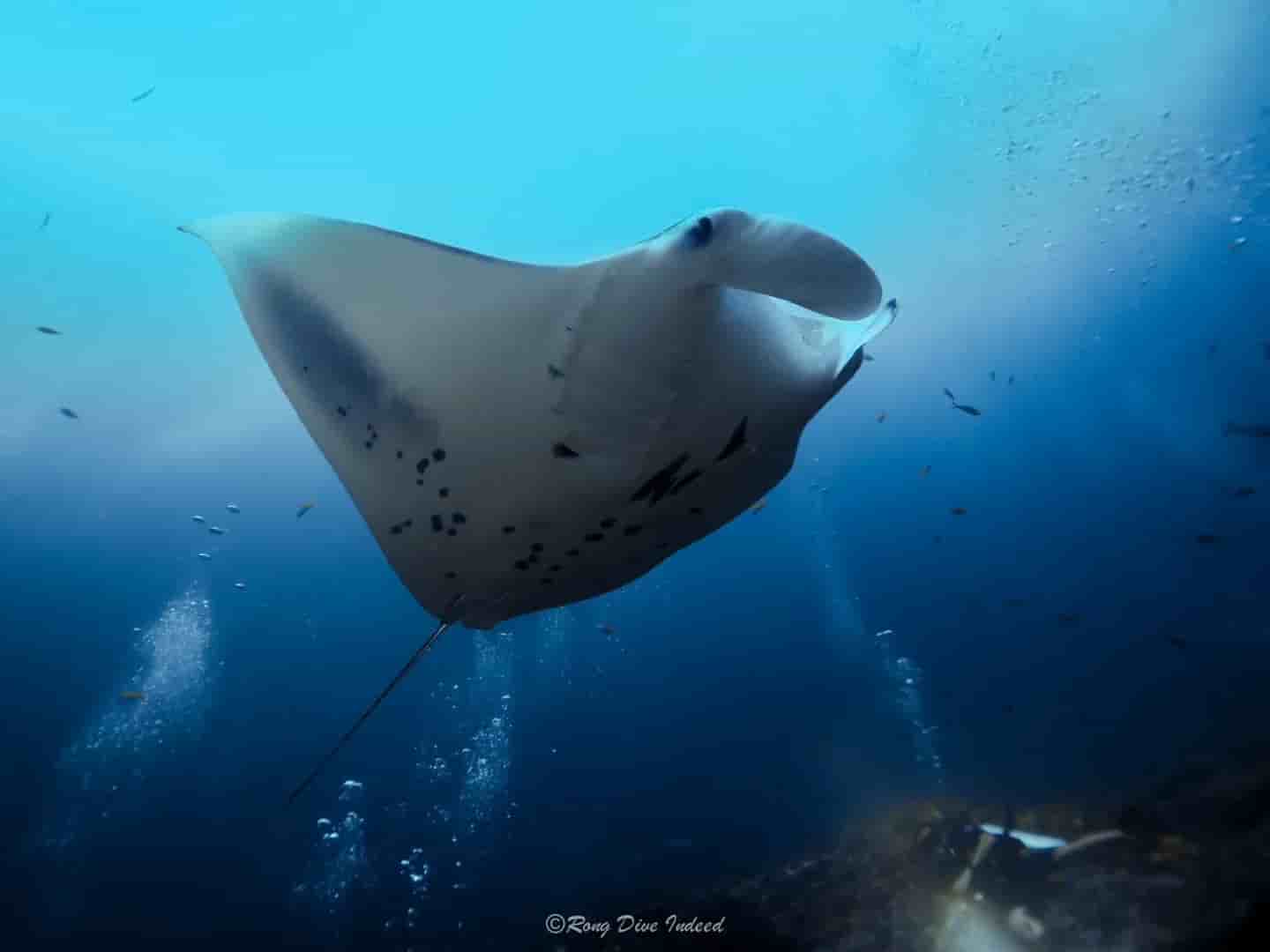 Thumbnail 10 Thumbnail 10