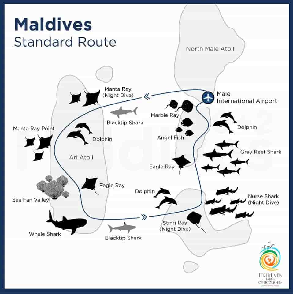 Thumbnail 15 Thumbnail 15