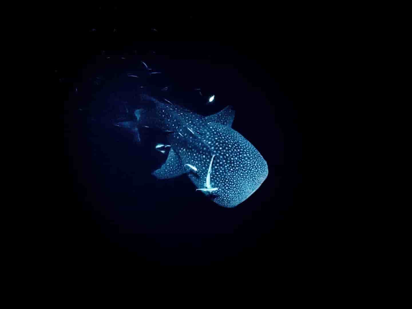 Thumbnail 6 Thumbnail 6