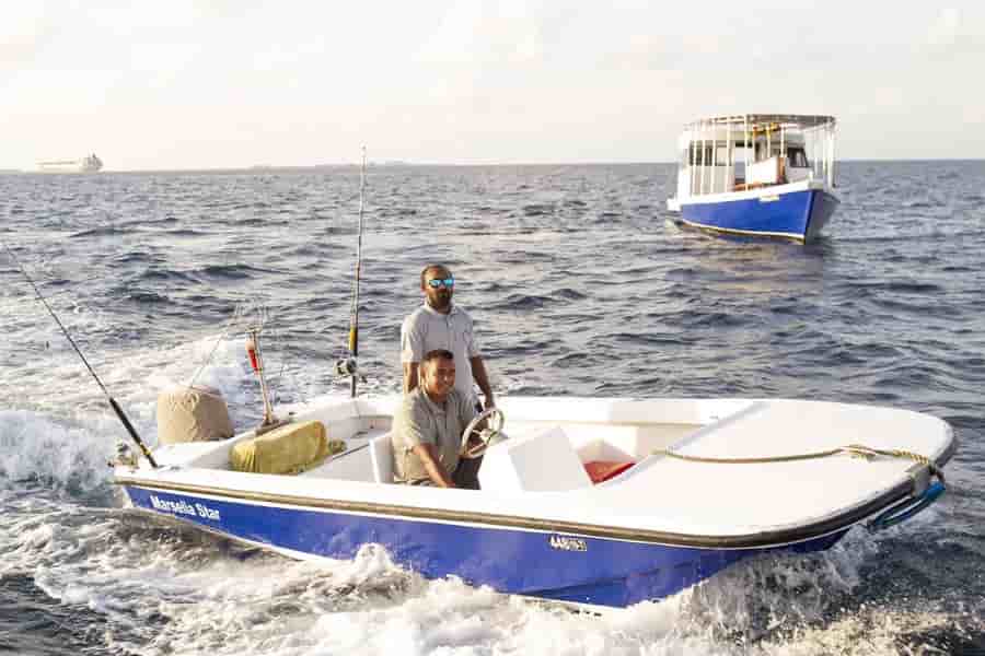 Thumbnail 19 Thumbnail 19