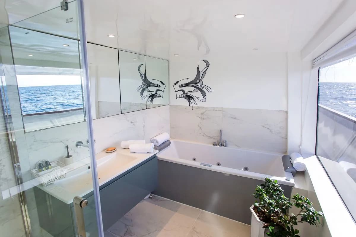 Ensuite bathroom with bathtub