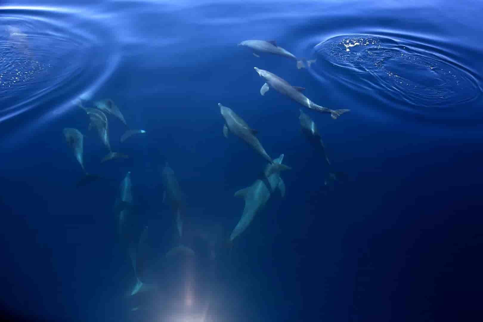 Thumbnail 3 Thumbnail 3