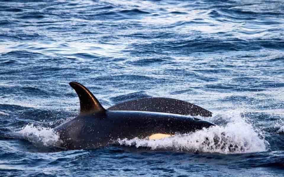 Thumbnail 6 Thumbnail 6