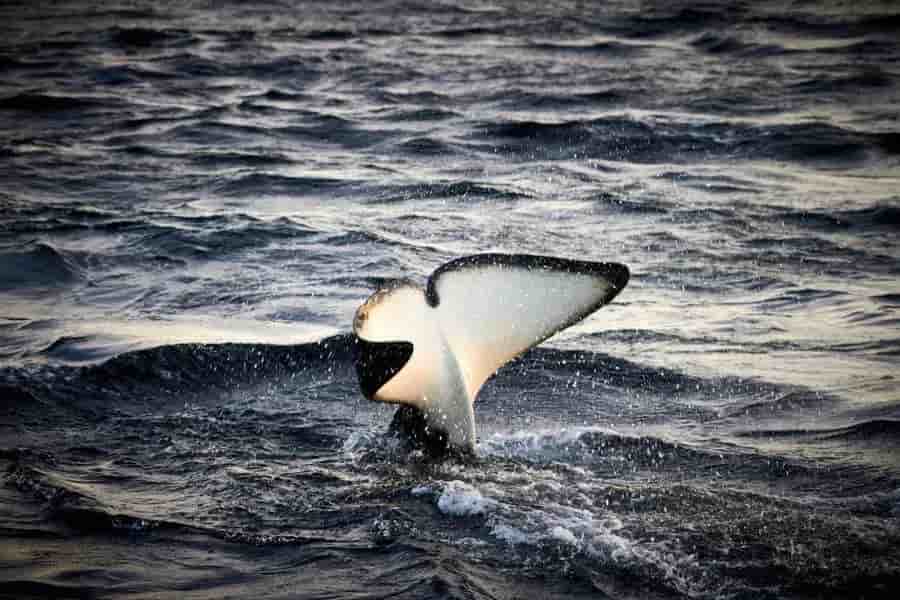 Thumbnail 7 Thumbnail 7