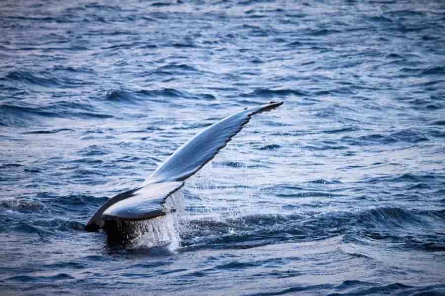 Thumbnail 11 Thumbnail 11