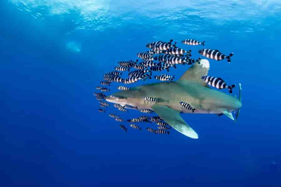 Thumbnail 5 Thumbnail 5