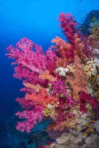 Thumbnail 16 Thumbnail 16