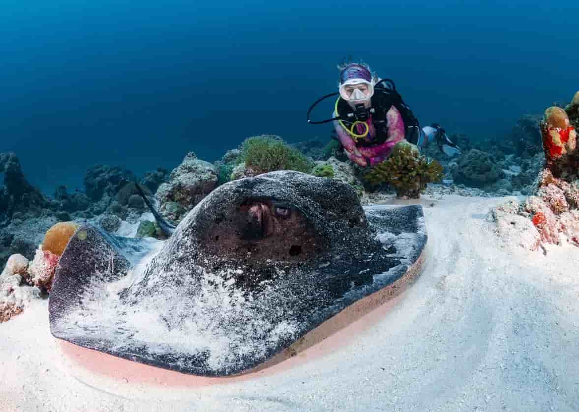 Thumbnail 5 Thumbnail 5