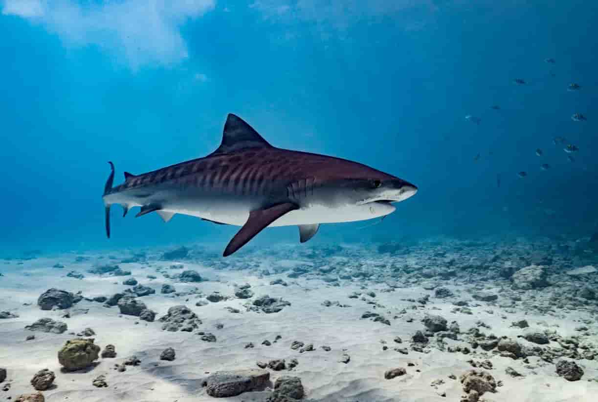 Thumbnail 13 Thumbnail 13