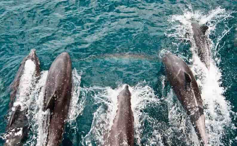 Thumbnail 5 Thumbnail 5