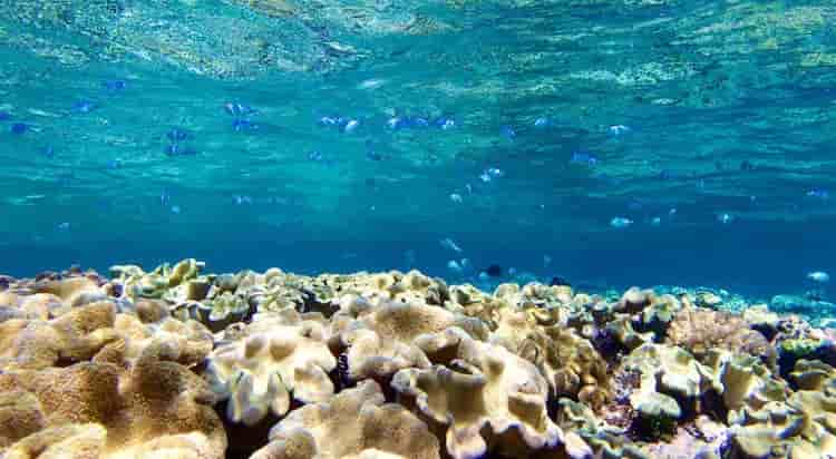 Thumbnail 6 Thumbnail 6