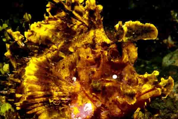 Thumbnail 28 Thumbnail 28