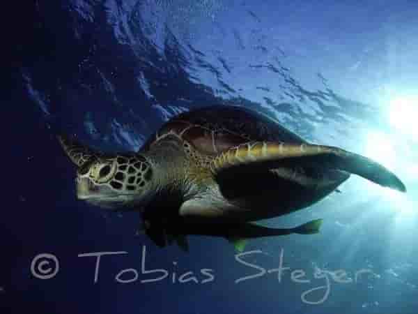 Thumbnail 2 Thumbnail 2