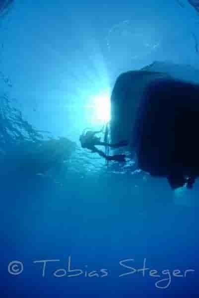 Thumbnail 3 Thumbnail 3