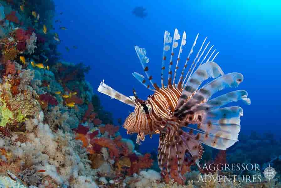 Thumbnail 17 Thumbnail 17