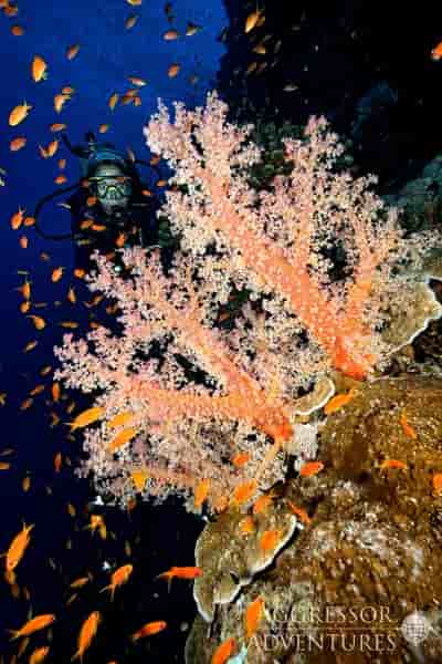 Thumbnail 22 Thumbnail 22