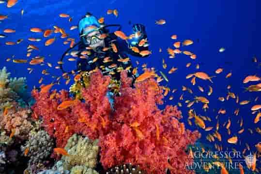 Thumbnail 23 Thumbnail 23