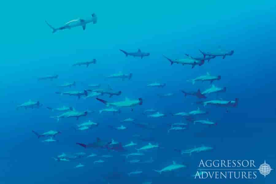 Thumbnail 25 Thumbnail 25