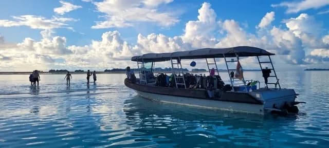 Black Pearl Black Pearl