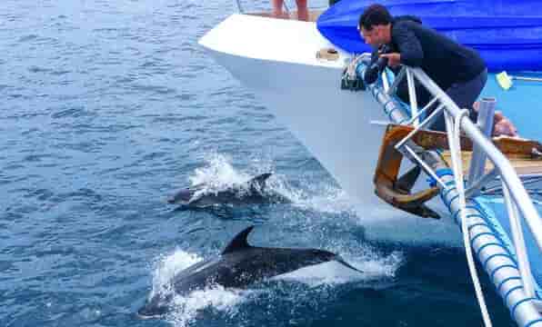 Thumbnail 9 Thumbnail 9