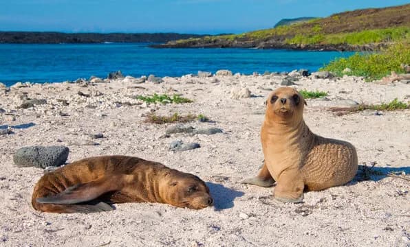 Yacht Solaris Galapagos