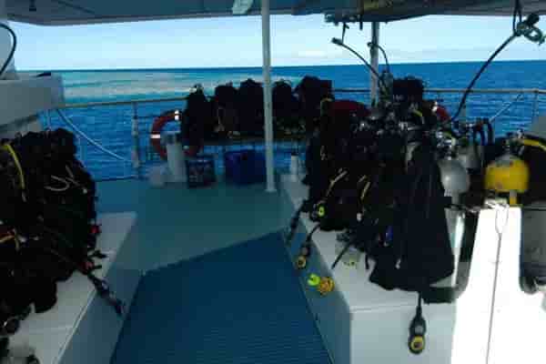 Thumbnail 5 Thumbnail 5