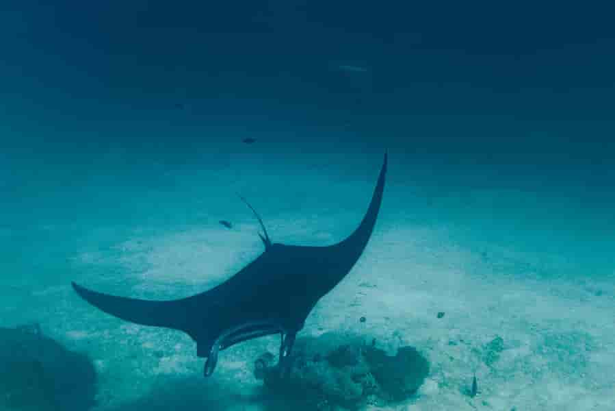 Thumbnail 9 Thumbnail 9