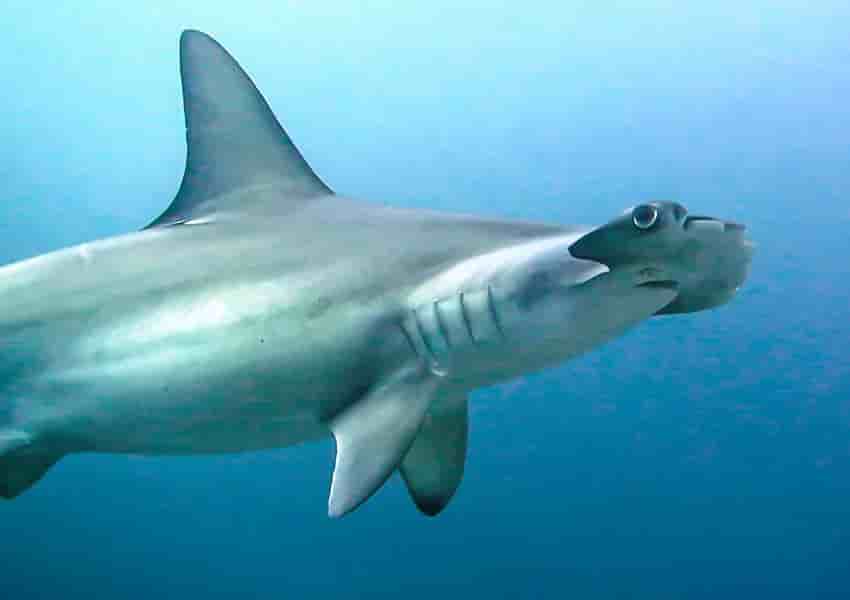 Thumbnail 14 Thumbnail 14