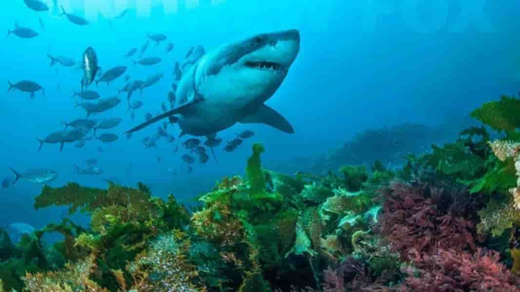 Thumbnail 9 Thumbnail 9