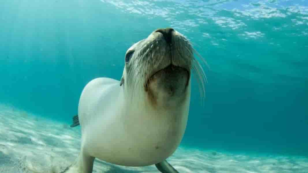 Thumbnail 10 Thumbnail 10