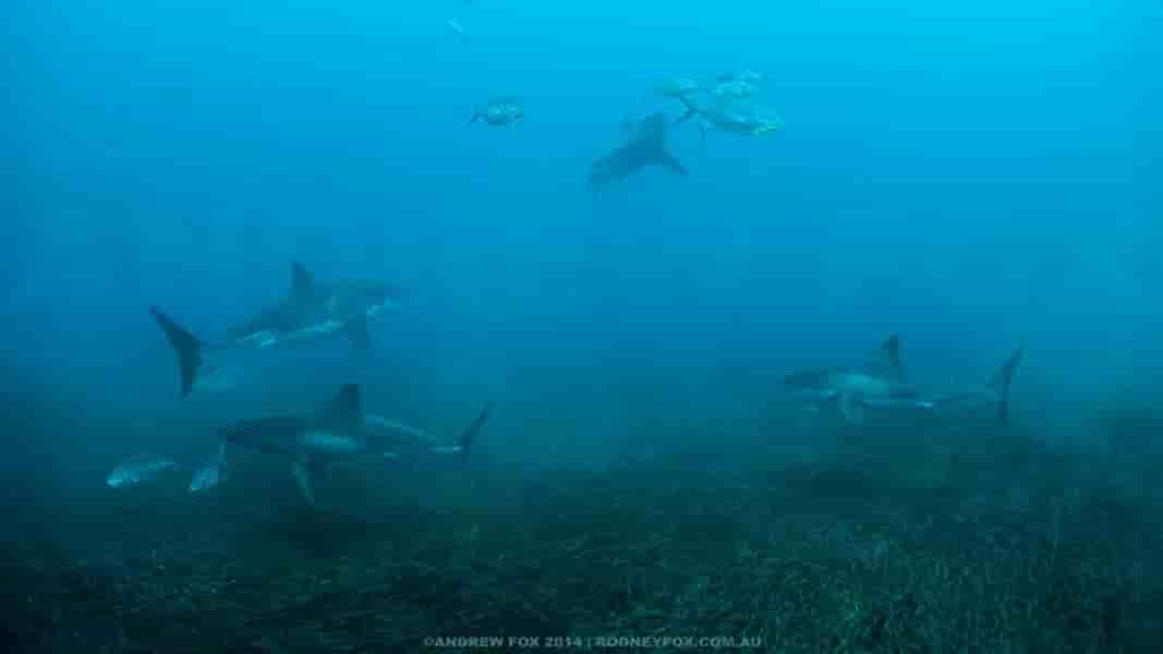 Thumbnail 11 Thumbnail 11