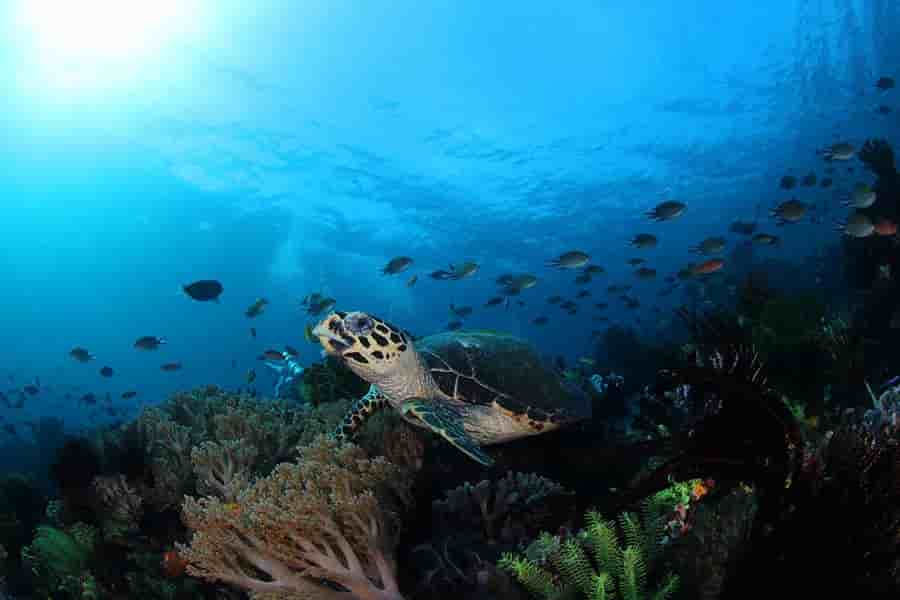 Thumbnail 17 Thumbnail 17