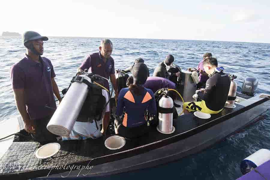 Thumbnail 10 Thumbnail 10