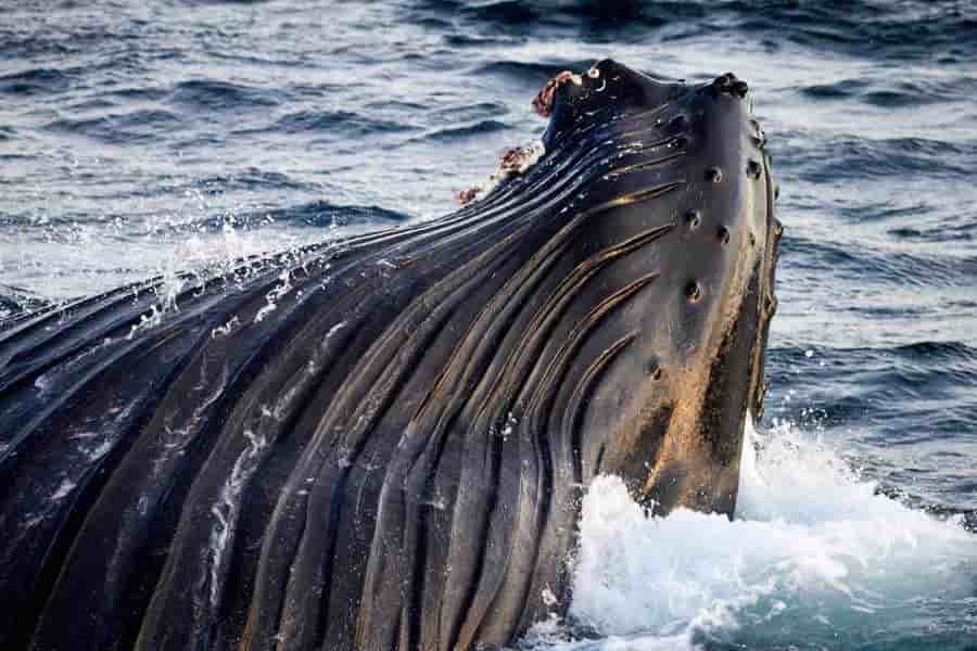 Thumbnail 6 Thumbnail 6