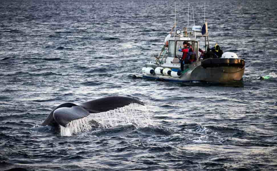 Thumbnail 7 Thumbnail 7