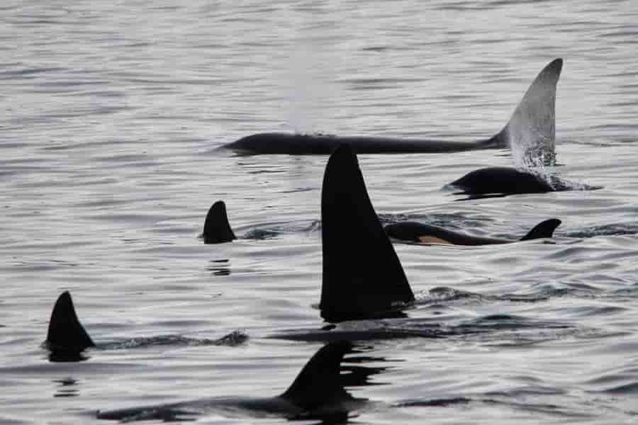 Thumbnail 9 Thumbnail 9