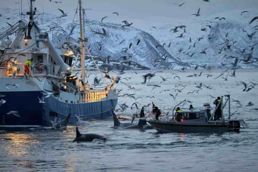 Thumbnail 10 Thumbnail 10