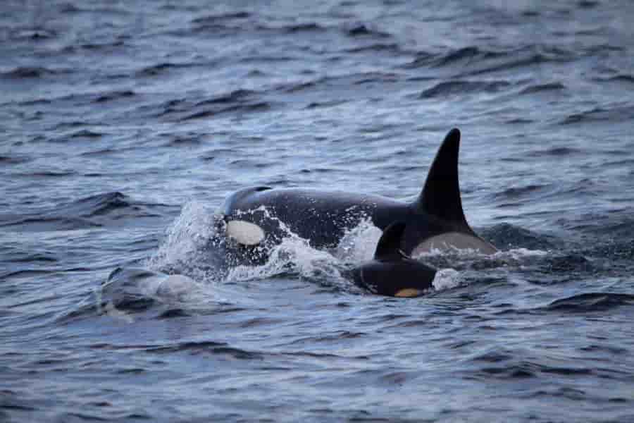 Thumbnail 11 Thumbnail 11