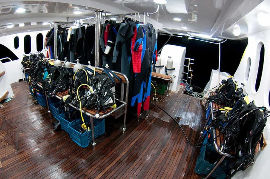 Dive deck with equipment