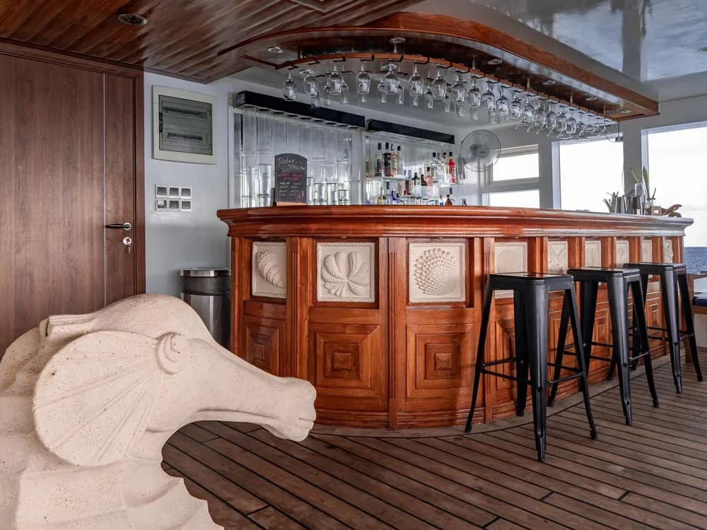 Seafari Explorer II - image Seafari Explorer II - image