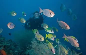 Carpe Diem Maldives scuba diving.
