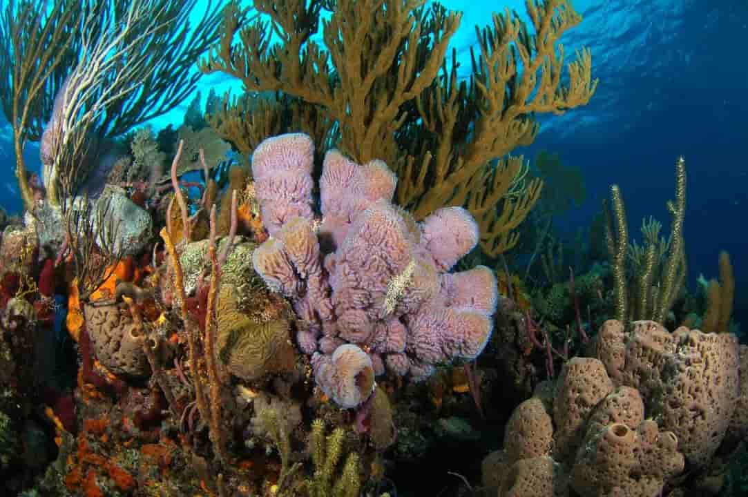 Thumbnail 11 Thumbnail 11