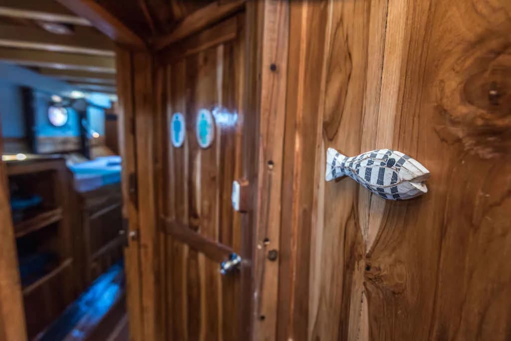 Leading to the cabin