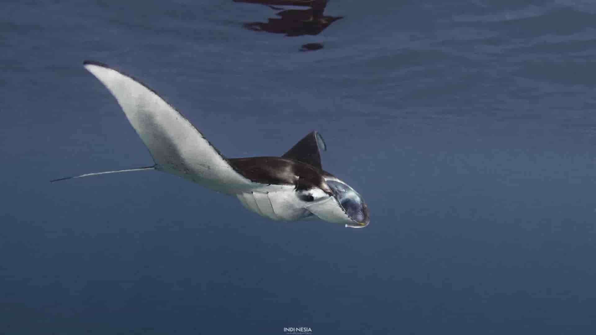 Thumbnail 1 Thumbnail 1