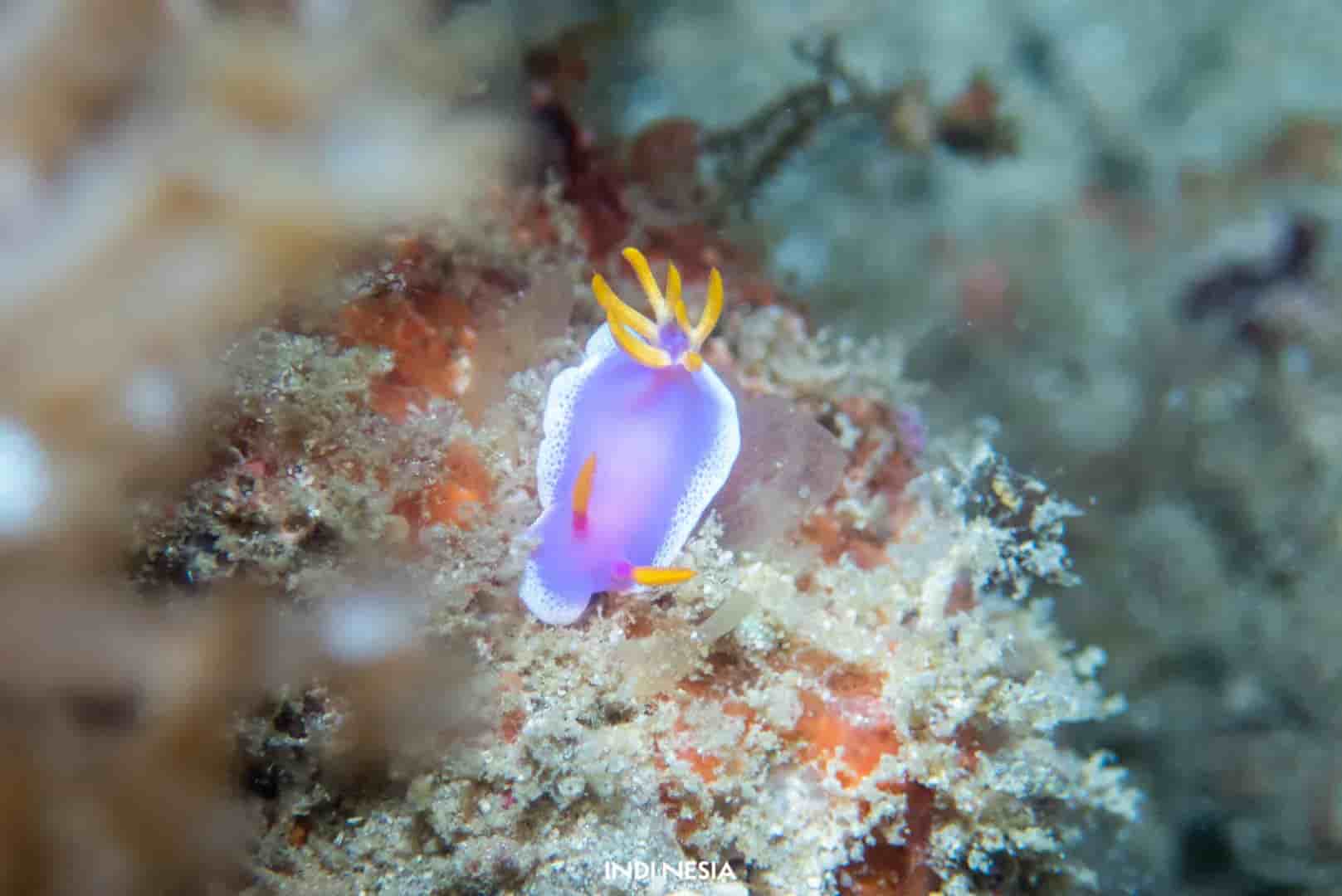 Thumbnail 15 Thumbnail 15