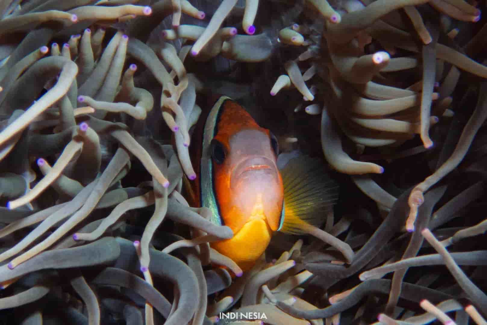 Thumbnail 17 Thumbnail 17